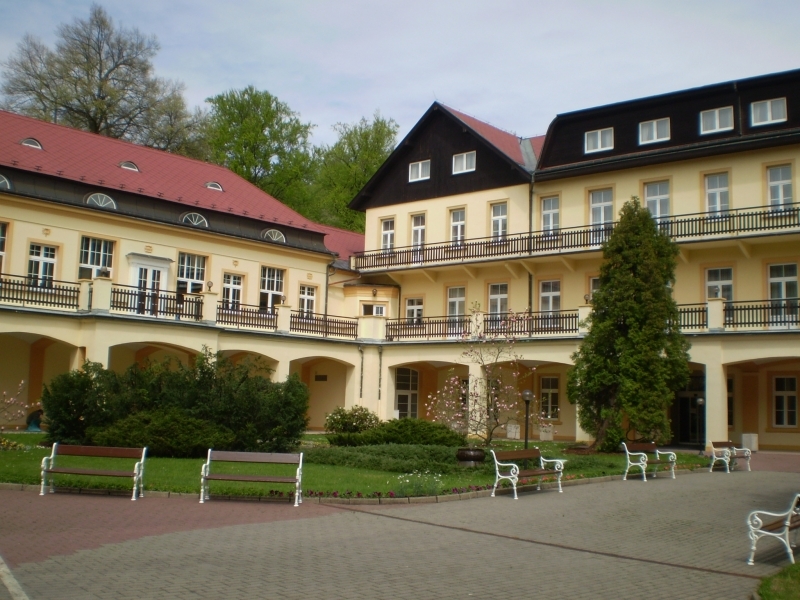 مصحة تيرزيني دوبي